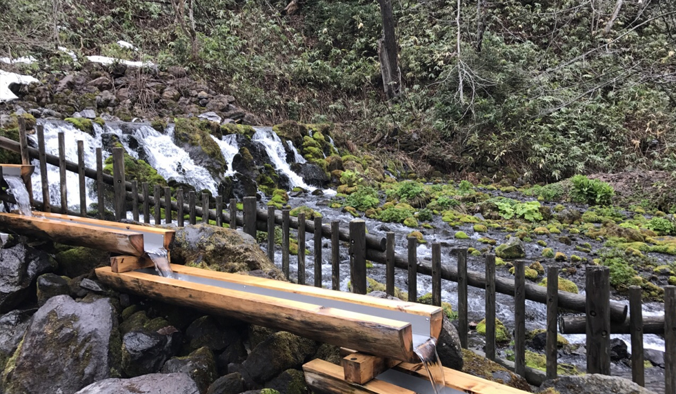 羊蹄山名水公園2