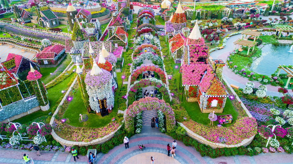 奇蹟花園